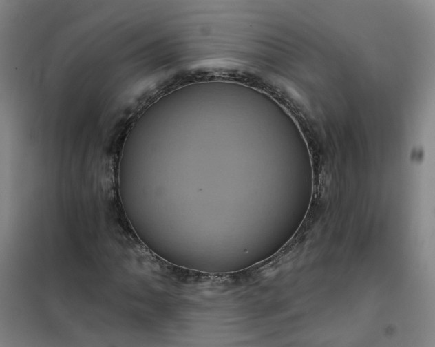 X0000101091062200807101543