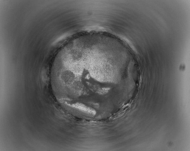 X0000101091063200807101543