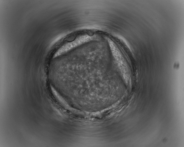 X0000101091064200807101543