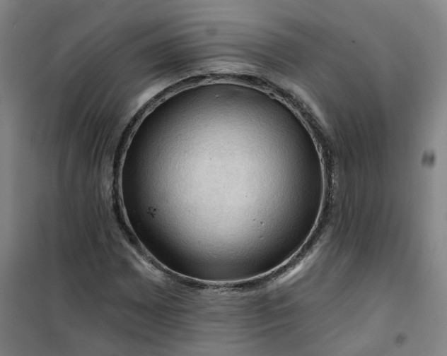 X0000101091065200807101543