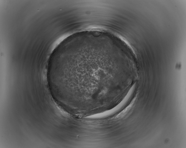 X0000101091066200807101543