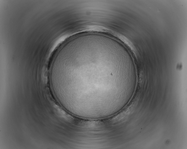 X0000101091067200807101543