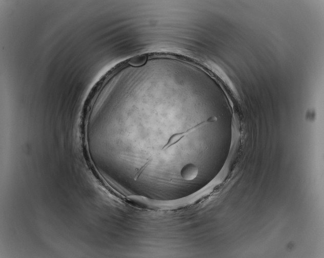 X0000101091068200807101543