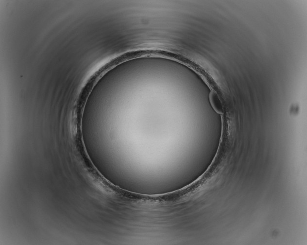 X0000101091069200807101543