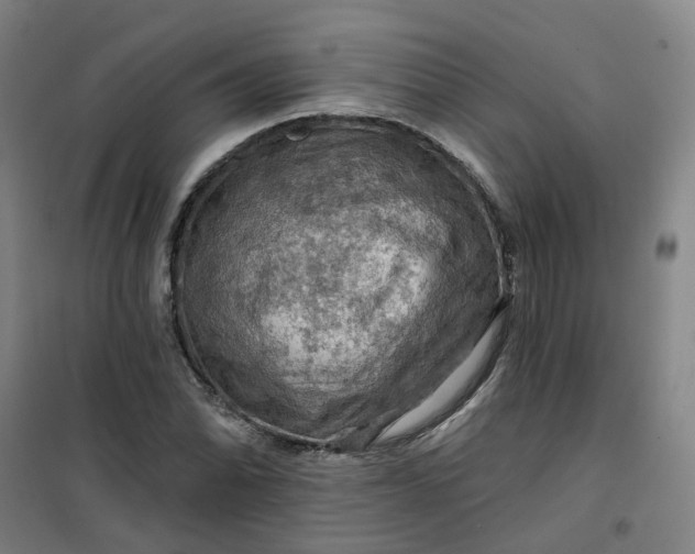 X0000101091070200807101543