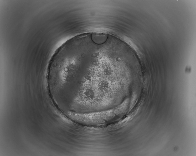 X0000101091071200807101543