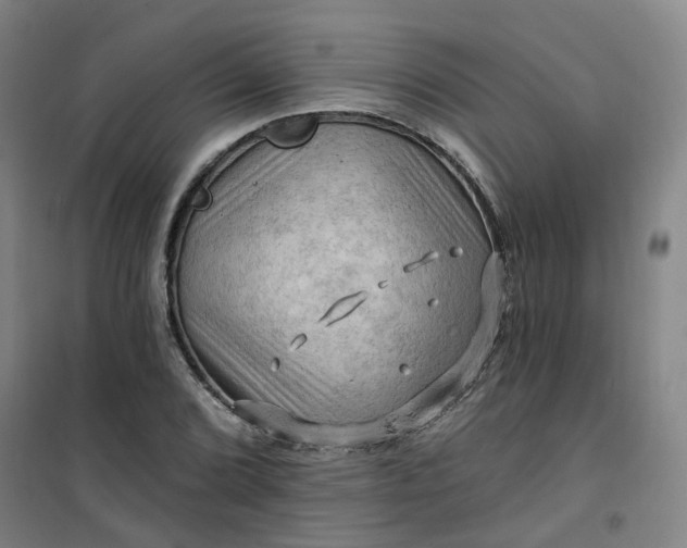 X0000101091072200807101543