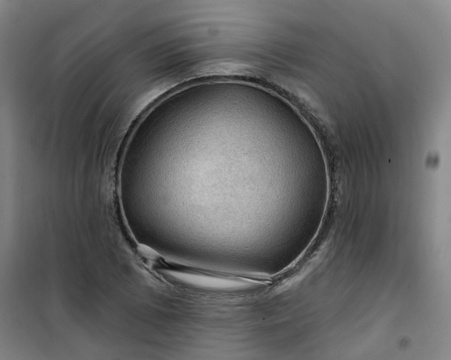 X0000101091073200807101543