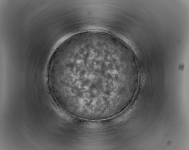 X0000101091074200807101543