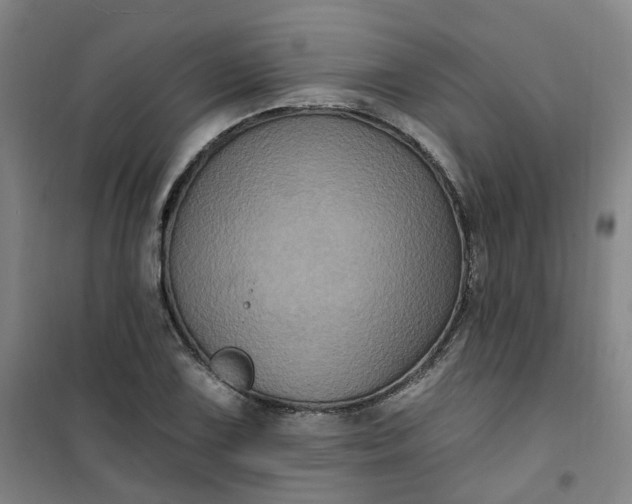 X0000101091075200807101543