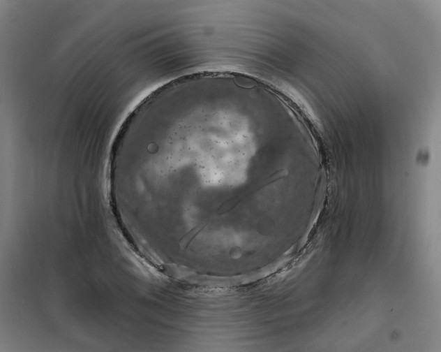 X0000101091076200807101543