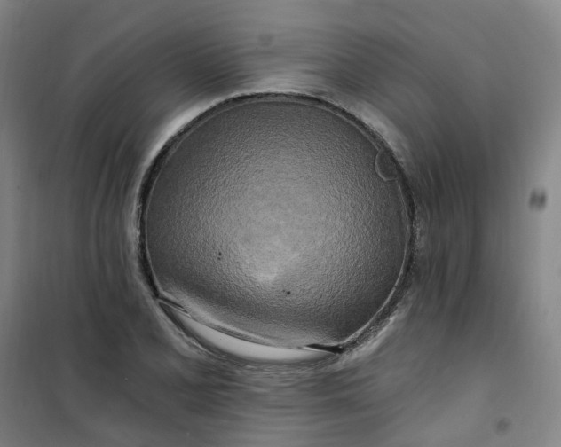 X0000101091077200807101543