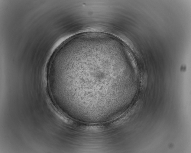 X0000101091078200807101543