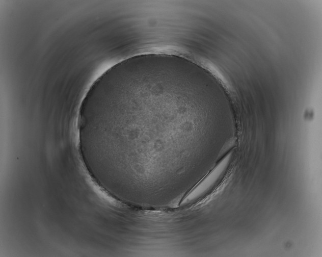 X0000101091079200807101543