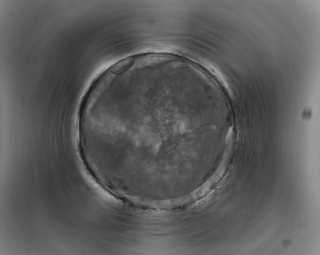 X0000101091080200807101543