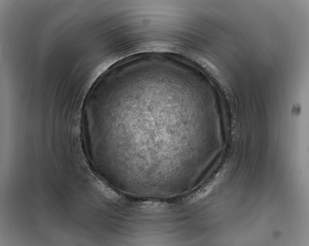 X0000101091081200807101543