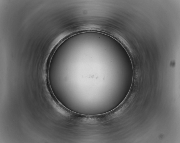 X0000101091082200807101543