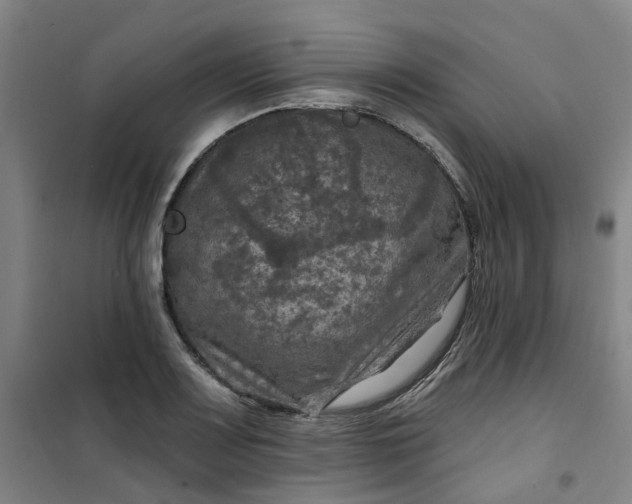 X0000101091083200807101543