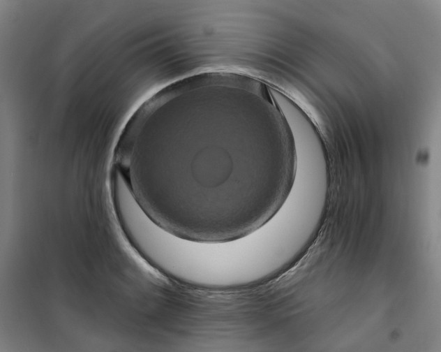 X0000101091084200807101543