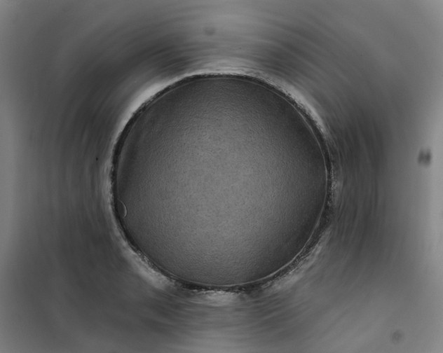 X0000101091085200807101543