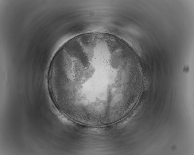 X0000101091086200807101543