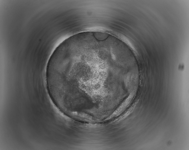 X0000101091087200807101543