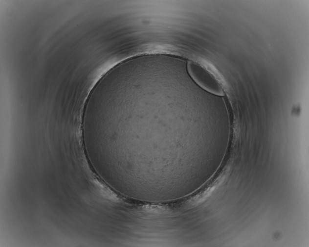 X0000101091089200807101543