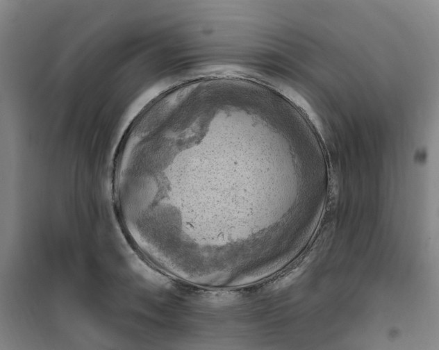 X0000101091090200807101543