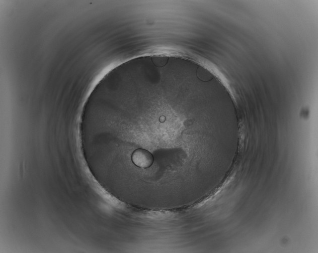 X0000101091091200807101543