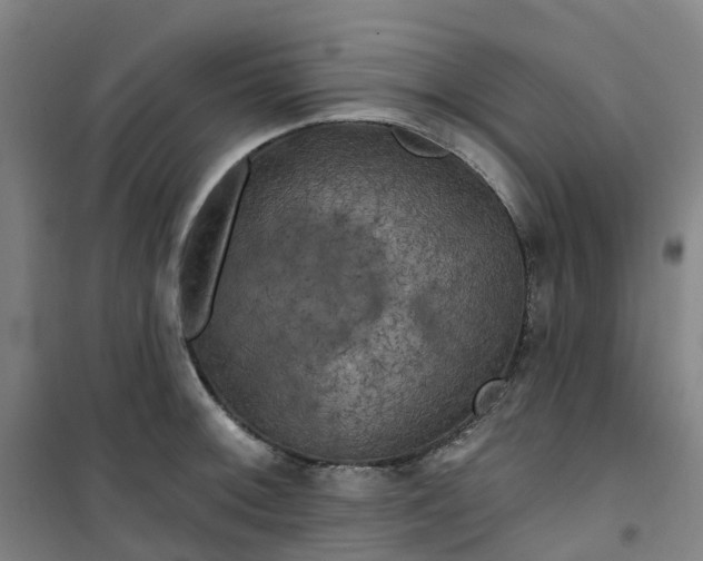 X0000101091092200807101543