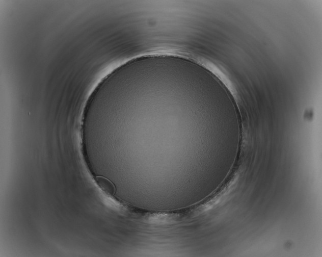 X0000101091093200807101543