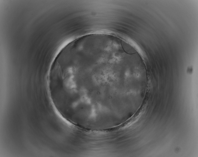 X0000101091095200807101543