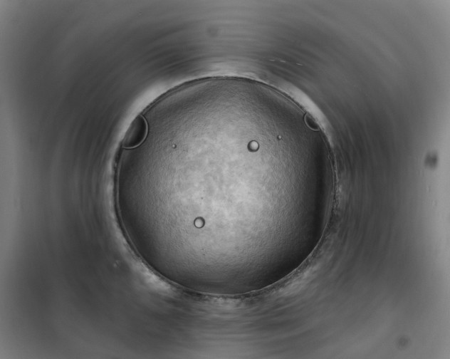 X0000101091096200807101543