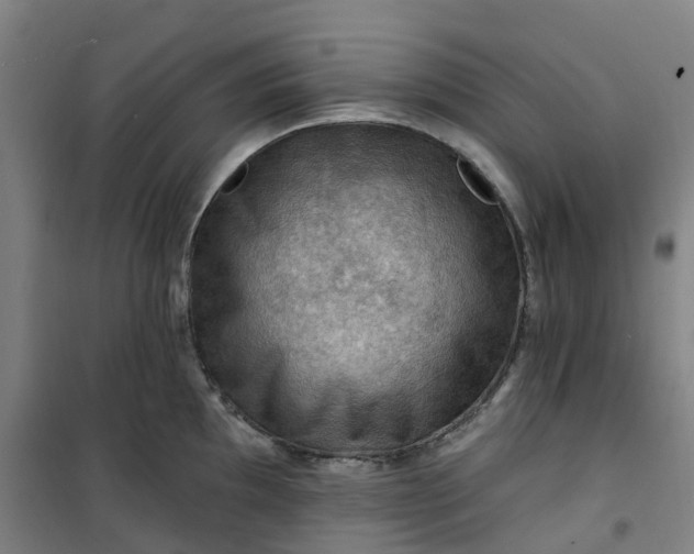 X0000101091097200807101543