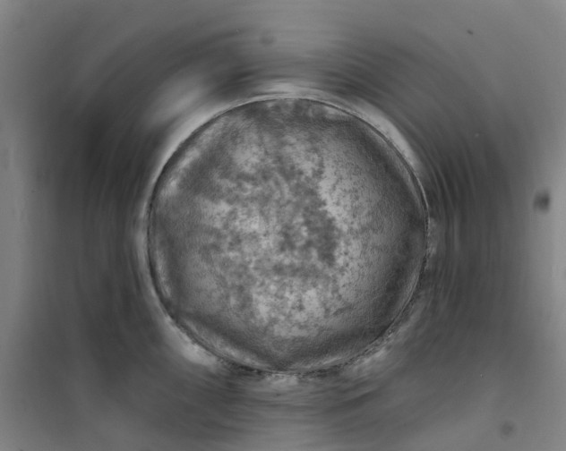 X0000101091098200807101543