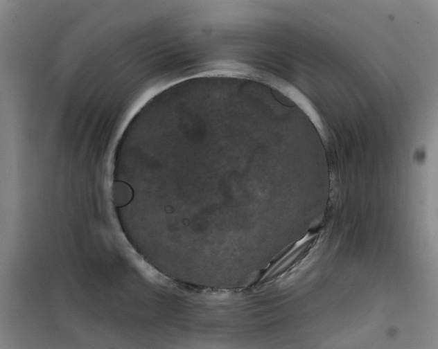 X0000101091099200807101543