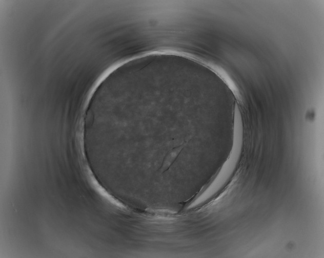 X0000101091100200807101543