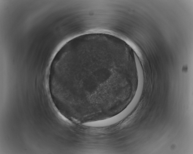 X0000101091102200807101543