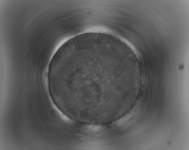 X0000101091103200807101542