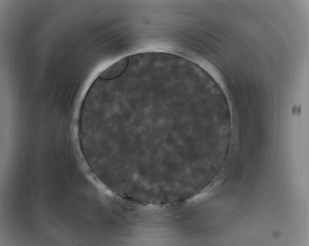 X0000101091104200807101542