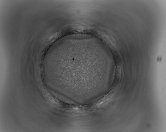 X0000101091105200807101542