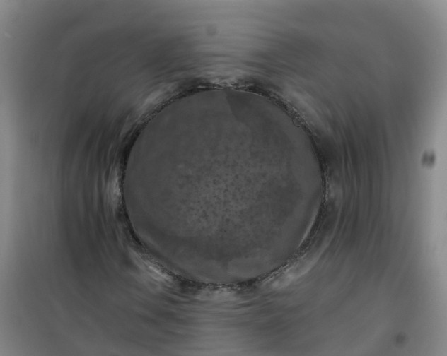 X0000101091106200807101542