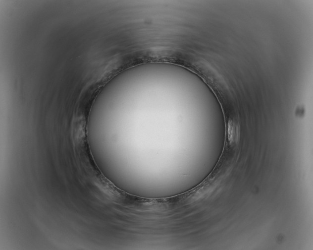 X0000101091107200807101542