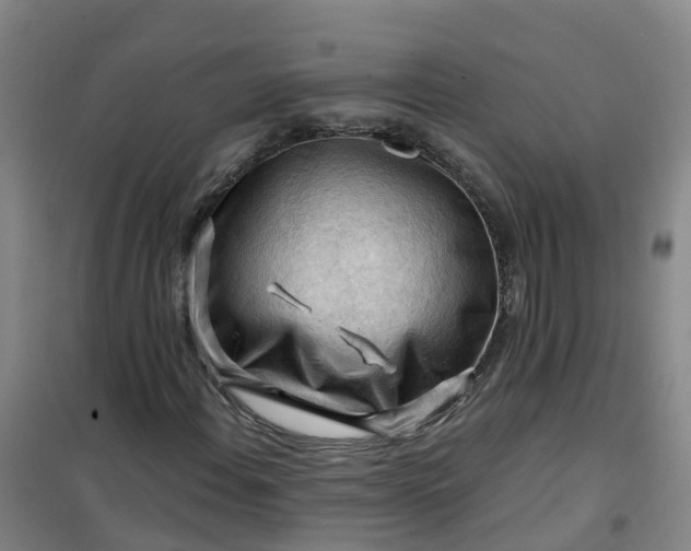 X0000101091108200807101542