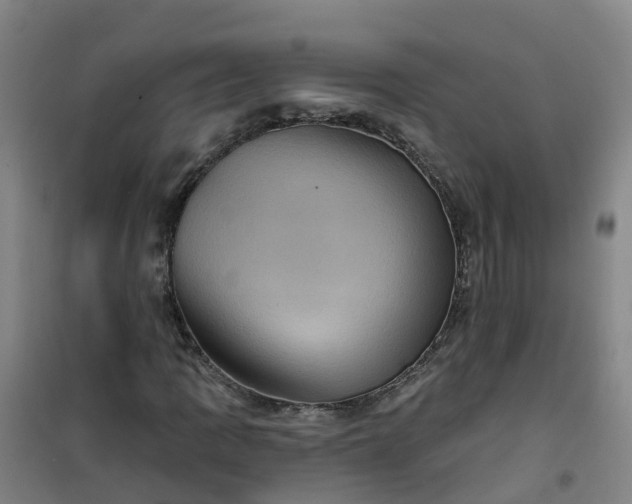 X0000101091109200807101542