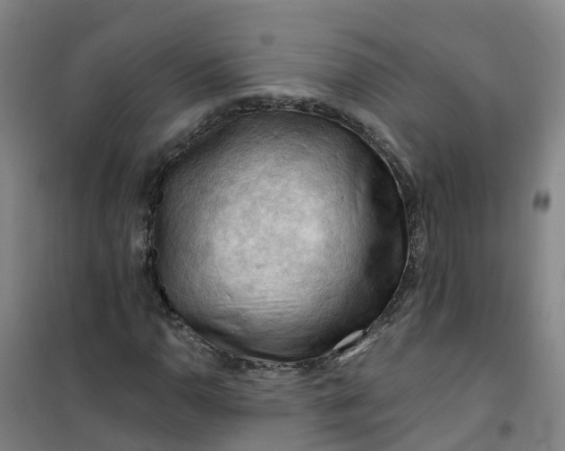 X0000101091110200807101542