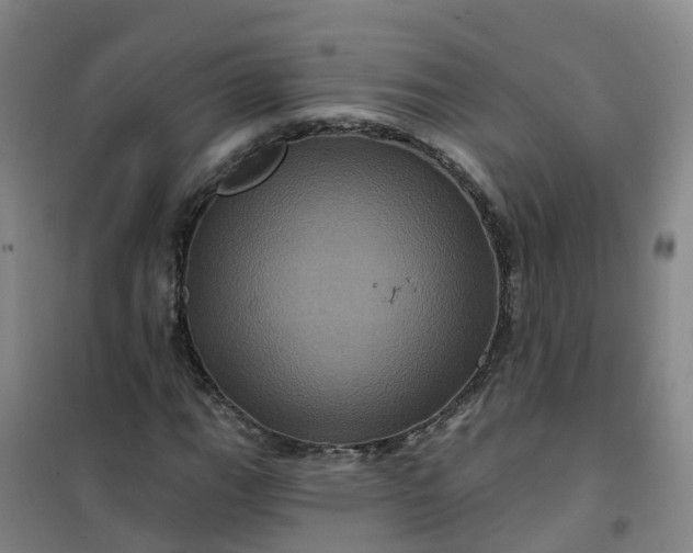 X0000101091111200807101542