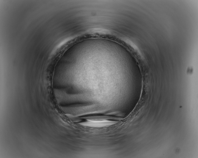 X0000101091112200807101542