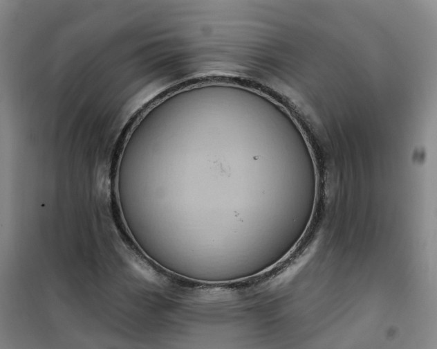 X0000101091113200807101542