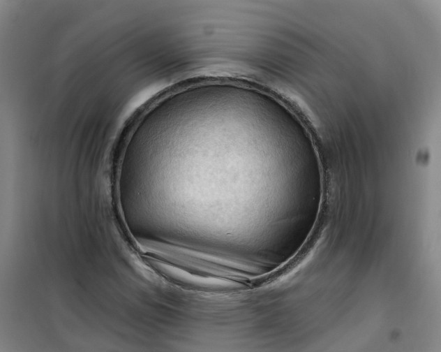 X0000101091114200807101542